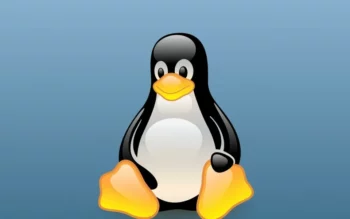 7 лучших дистрибутивов Linux